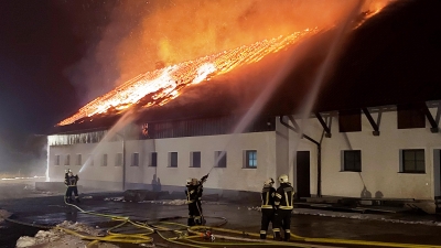 550 Schweine bei Bauernhofbrand gerettet!