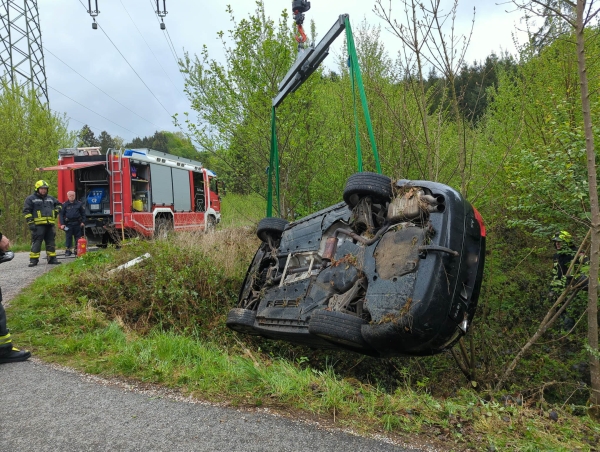 Doppelteinsatz: Verkehrsunfall und entlaufene Kälber