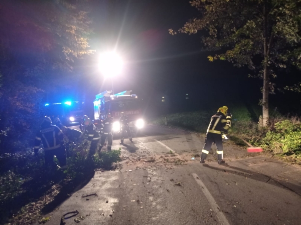 FF-Rainbach beseitigt gestürzten Baum