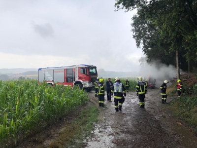 Feuerwehren verhindern Waldbrand 