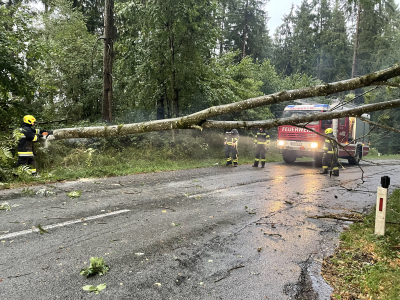 Einsatz: Baum über Straße und Straßenreinigung